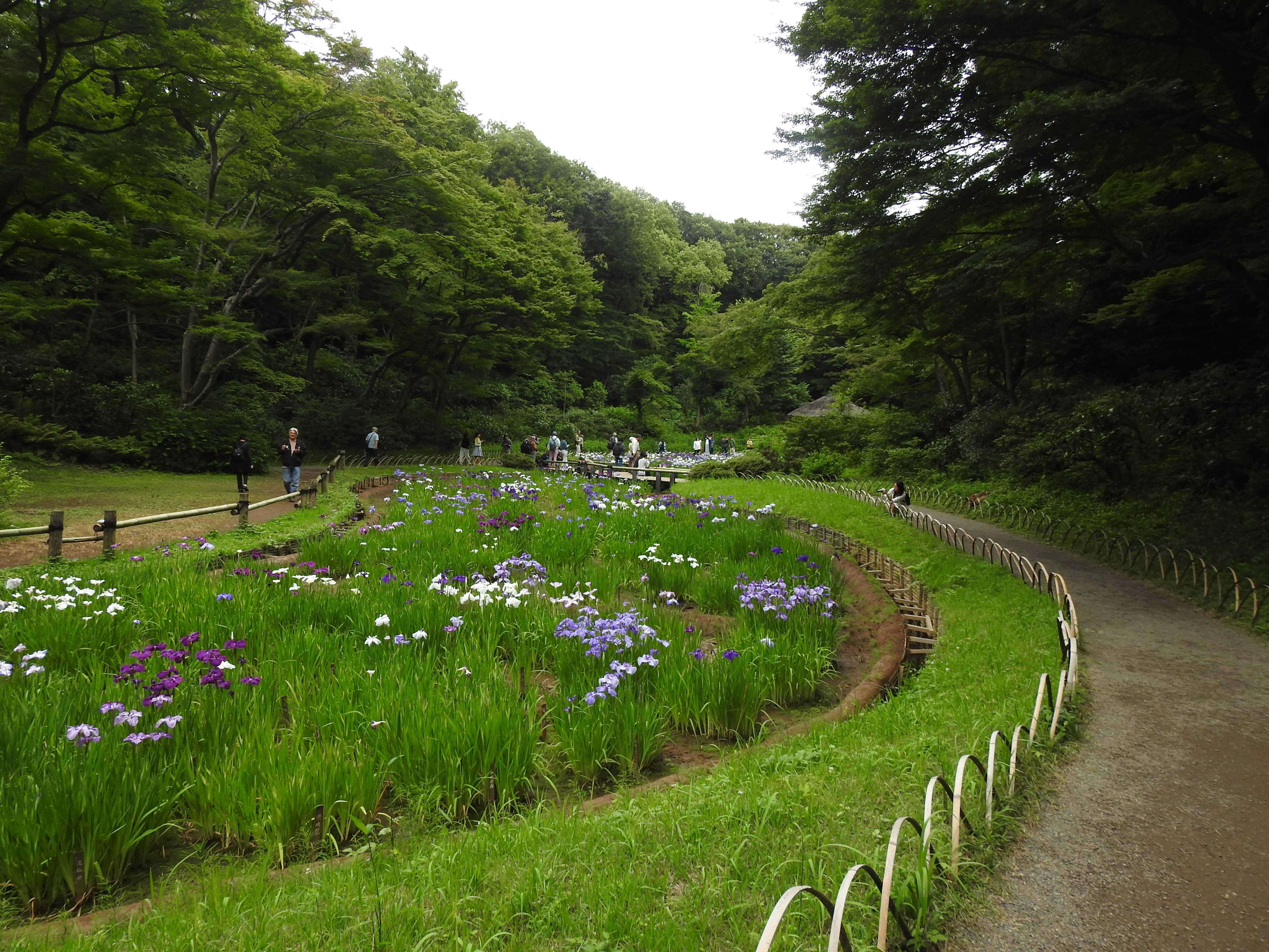 meijishrine