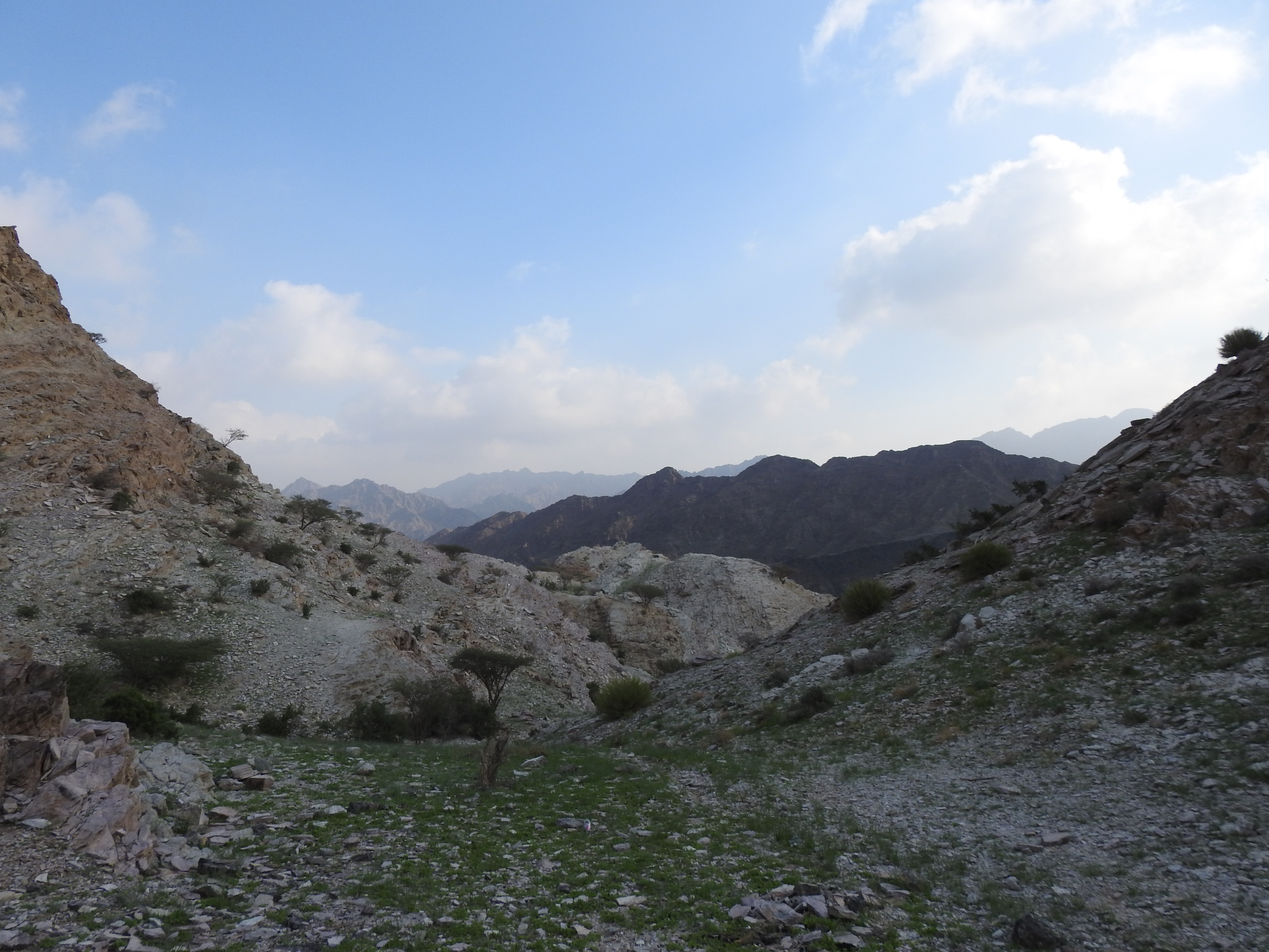 wadi