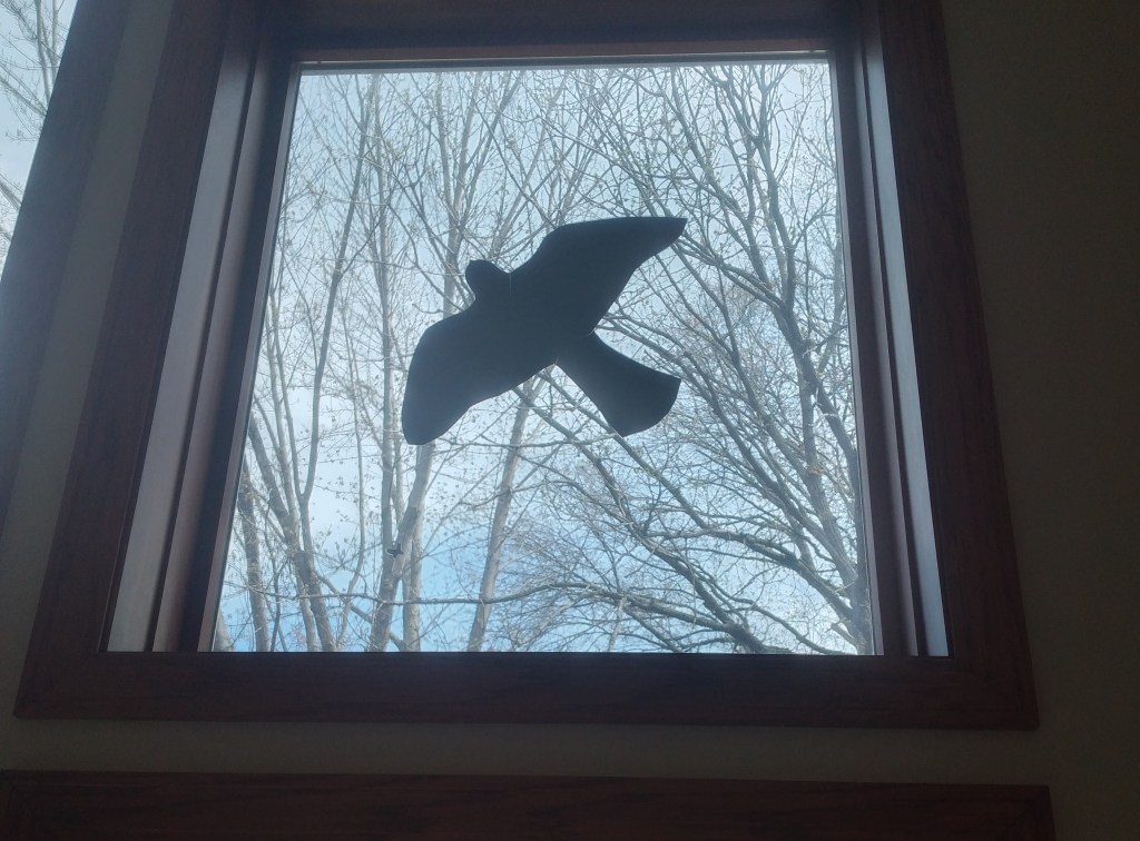 Interior of a window that has a large black vinyl raptor silhouette.