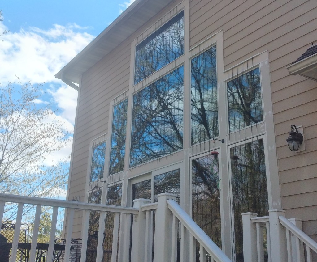 House exterior showing same wall of windows, with sets of parallel black cords hanging down.